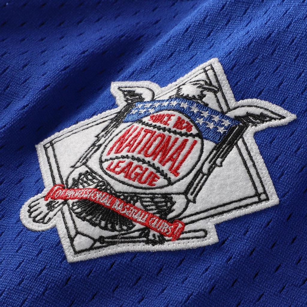 Chicago Cubs Ryne Sandberg Mitchell & Ness Royal Cooperstown Collection 1997 Mesh Batting Practice Button-Up Jersey