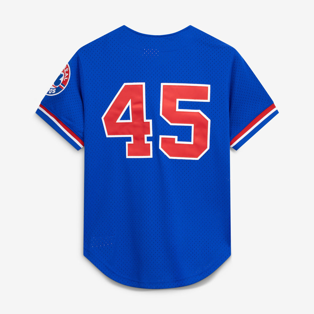 Montreal Expos Pedro Martinez Mitchell & Ness Blue Cooperstown Collection Mesh Batting Practice Button-Up Jersey